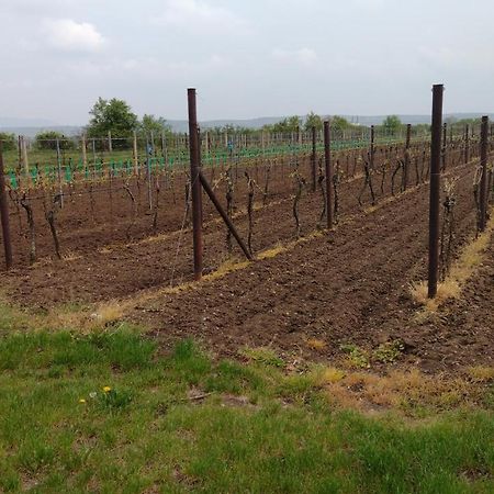 Sklípek v Agátí Drnholec Exterior foto